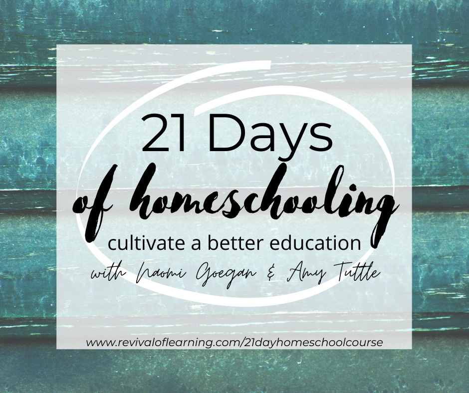 21 days of homeschooling